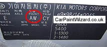 Kia Paint Code Example